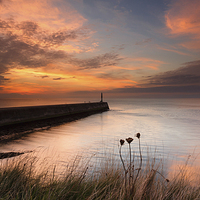 Buy canvas prints of Aberystwyth harbour mouth 2 by Izzy Standbridge