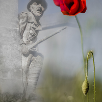 Buy canvas prints of Lest we forget by Izzy Standbridge