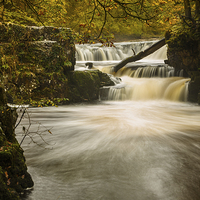 Buy canvas prints of Horseshoe falls, Nedd Fechan river by Izzy Standbridge