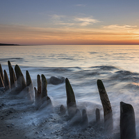 Buy canvas prints of  These old posts by Izzy Standbridge