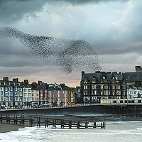 Buy canvas prints of Starling cloud over Aberystwyth by Izzy Standbridge