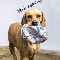 Buy canvas prints of Who is a good boy? by richard downes