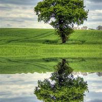 Buy canvas prints of Tree reflection by richard downes