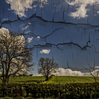 Buy canvas prints of Cracked by richard downes