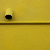 Buy canvas prints of Yellow by Carlo Macinai