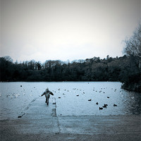 Buy canvas prints of Take off,  Decoy Park Lake. by K. Appleseed.