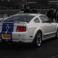 Buy canvas prints of Ford Mustang GT by Phil Hall