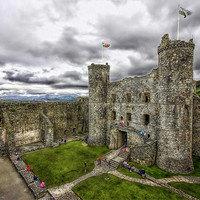 Buy canvas prints of Harlech Castle by Tony Bates