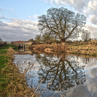 Buy canvas prints of Kenet and Avon Canal by Tony Bates