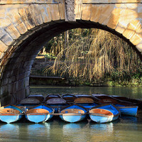 Buy canvas prints of oxford rowing boats by Tony Bates