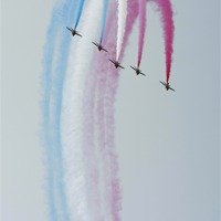 Buy canvas prints of Red Arrows by Tony Bates