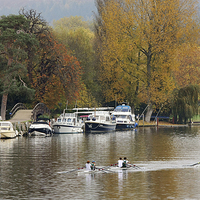 Buy canvas prints of Henley on Thames by Tony Bates
