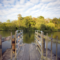 Buy canvas prints of  Thames river jetty by Tony Bates