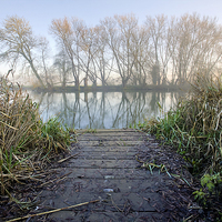 Buy canvas prints of  River Thames by Tony Bates
