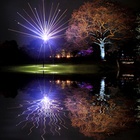 Buy canvas prints of  Kew Christmas lights by Tony Bates