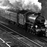Buy canvas prints of  Cathedrals Express mono Mayflower 61306 by Tony Bates