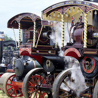 Buy canvas prints of  Traction engines at Woodcote by Tony Bates