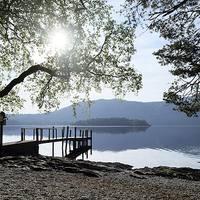 Buy canvas prints of  Hawes end landing Derwentwater by Tony Bates