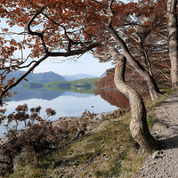 Buy canvas prints of  Derwent water Cumbria by Tony Bates