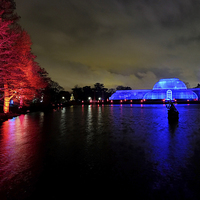 Buy canvas prints of   Kew Botanical gardens and palm house at night by Tony Bates