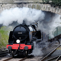 Buy canvas prints of Swanage steam engine 31806 by Tony Bates