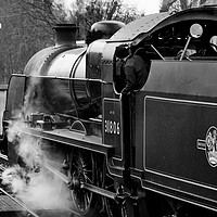 Buy canvas prints of Steam train 31806 by Tony Bates