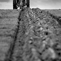 Buy canvas prints of Ploughing match by Tony Bates