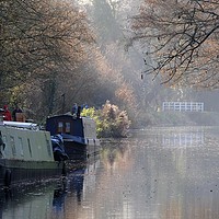 Buy canvas prints of Kennet and Avon Canal narrow boats by Tony Bates