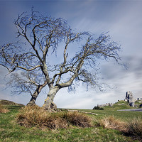 Buy canvas prints of Corfe Castle by Tony Bates