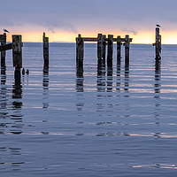 Buy canvas prints of Swanage old pier by Tony Bates