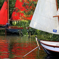 Buy canvas prints of Sail Boats by Tony Bates