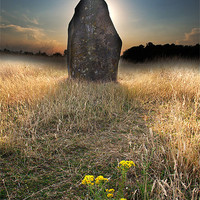 Buy canvas prints of Standing Stone by Tony Bates