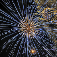 Buy canvas prints of  Firework Explosion by Rob Bradley