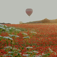Buy canvas prints of Poppies and balloons by Marja Ozwell