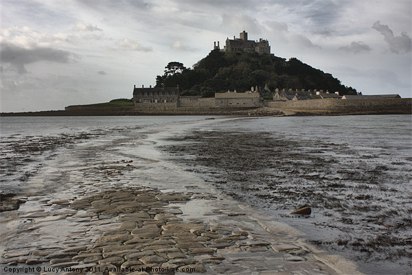 St Michaels Mount, Cornwall Picture Board by Lucy Antony