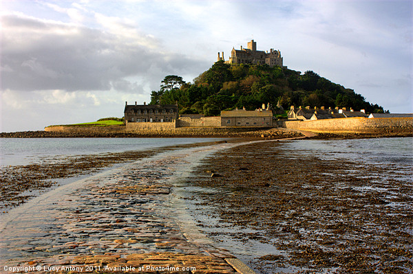 St Michaels Mount 2 Picture Board by Lucy Antony