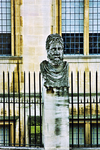 Oxford Head - cross processed Picture Board by Lucy Antony