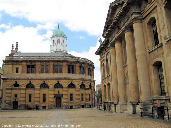 Sheldonian, Oxford Picture Board by Lucy Antony