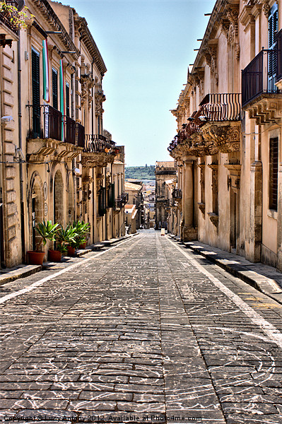 street of flowers, Noto Picture Board by Lucy Antony