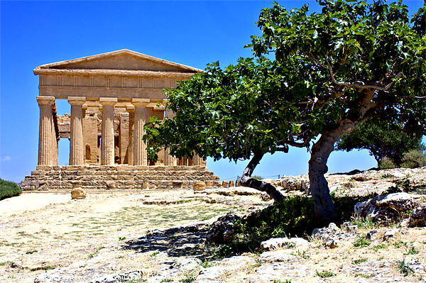 Temple of Concordia, Agrigento Picture Board by Lucy Antony