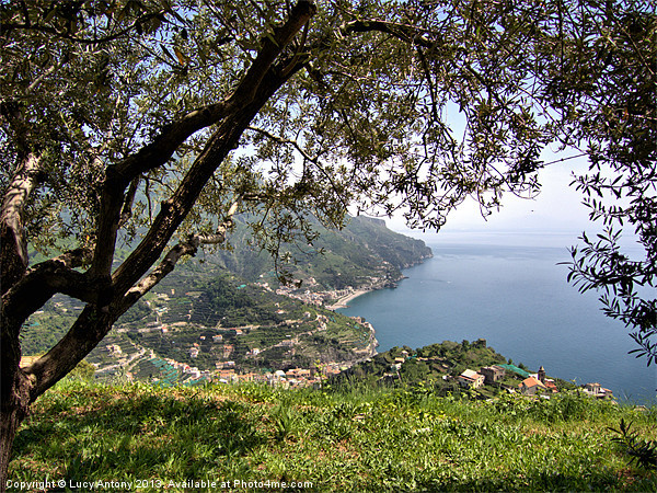 View from Ravello, Italy Picture Board by Lucy Antony