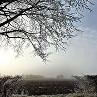 Buy canvas prints of  A misty morn in Oxfordshire by Lucy Antony