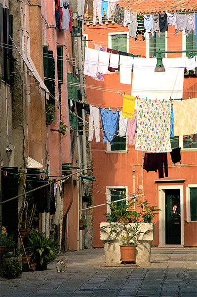 Washday in Venice Picture Board by Lucy Antony