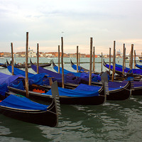 Buy canvas prints of Evening Gondolas in Venice by Lucy Antony