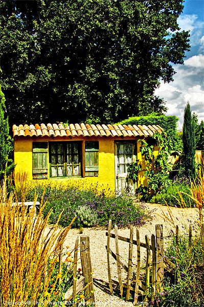 ''Le Jardin de Vincent'' Picture Board by Chris Thaxter