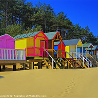Buy canvas prints of Beach Huts and Pine Trees 2 by Chris Thaxter