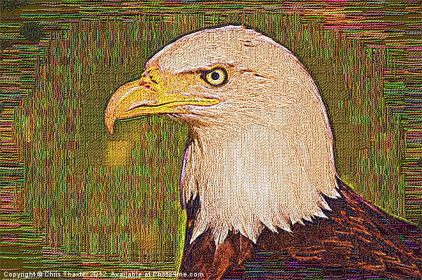 Bald Eagle Embroidered Picture Board by Chris Thaxter