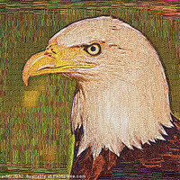 Buy canvas prints of Bald Eagle Embroidered by Chris Thaxter