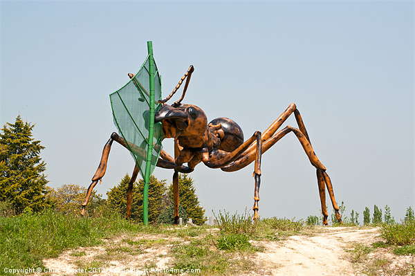Giant Ant 2 Picture Board by Chris Thaxter