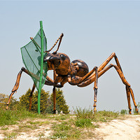 Buy canvas prints of Giant Ant 2 by Chris Thaxter